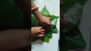 #poojadecoration #leafdecor