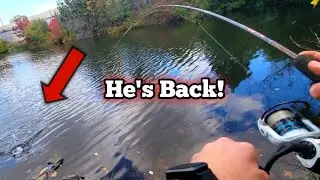 BIG Urban Highway Bass Strikes