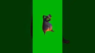 Dancing Hippo Green Screen | Meme Template for Edits