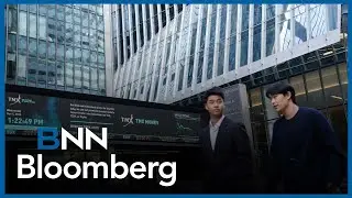 TSX continues bull run, what's driving the gains?