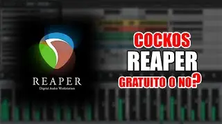 Cockos Reaper gratuito o no? - Nicchia Ritmica