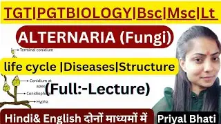 Fungi Alternaria (full-lecture) |TGT PGT biology|Uptgtpgtbiology|Bsc & MSc biology|By Priyal bhati||