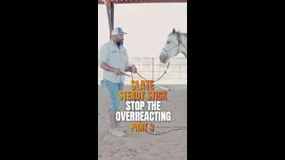 Desensitize Your Horse Like a Pro | With the Steady Stick