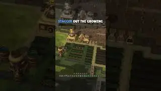 Min-maxing farmhouses in Timberborn