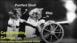 Pets Playing People | Funny Animal Photos of Harry Whittier Frees | Forgotten History