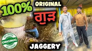 Desi Organic Gud ਗੁੜ (Jaggery) in Punjab | khoo wale