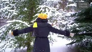 Real-Time Snowfall Experience | ASMR Snow Sounds & Visuals #Snowfall #WinterVibes #RelaxingSnow