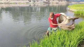 Daily Net Fishing - Very Amazing Net Fishing - Old Fisherman Catching Fish By Net