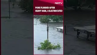 Pune Rain News | Pune Flooded After Heavy Rain, Schools Shut, 3 Electrocuted