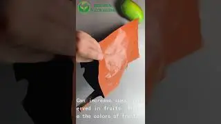 Mango Bag Fruit Protection Fruit Bag Cover +8613583554035