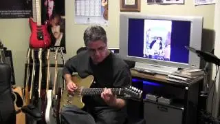 Pete Townsend Telecaster Schecter