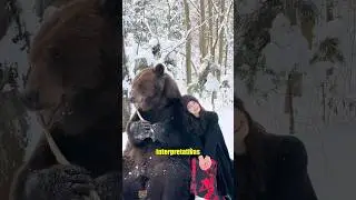 Tom the Brown Bear#foryou #animals #pets #healing #love