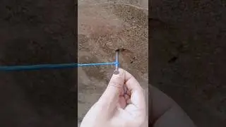 amazing knot trick #viral #shorts #shortsfeed#tips