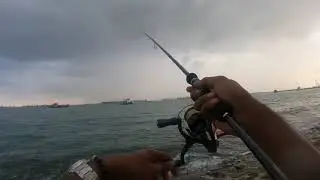 Eging in Singapore | tailwalk egist | shallow egi | Squid Fishing