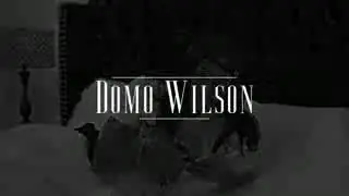 I wish I never met you - Domo Wilson (Official music video)