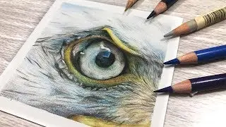 HOW TO DRAW WHITE FEATHERS with COLORED PENCIL