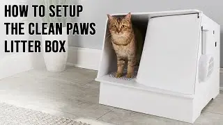 How to Setup The Clean Paws Litter Box