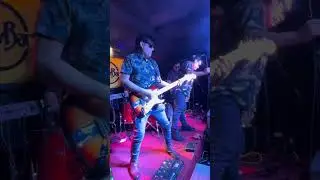 A Forest cover Zoom
