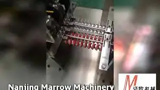 ML28 Telescope straw machine | Nanjing Marrow