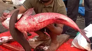 I never seen ll amazing big Biket fish cutting live skills by expert fish cutter 