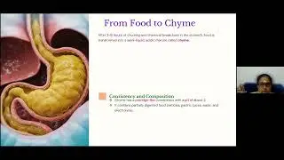 Day 8 - &ldquo;Yoga Anatomy & Physiology Basics | Foundation Course