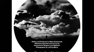 Milton Bustamante - Shift (Original Mix) [TDG019]