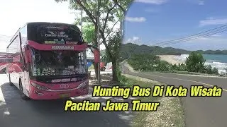 Bus Hunting at Pacitan Terminal, Kota Wisata & 1001 Goa