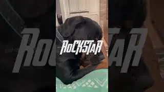 Смех-пауза! Эпизод 24 &mdash; Вы не поверите! Автор: RxCKSTxR