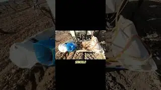 M&eacute;todo para reponer vi&ntilde;edo con agua a presi&oacute;n 🌱🍇💧