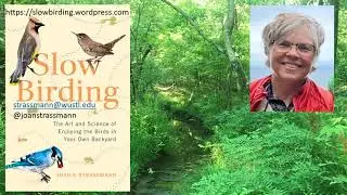 Slow Birding: How Do The Birds You Glimpse Live Their Lives   Joan Strassman