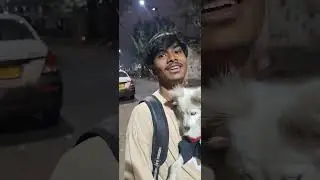 1 To Gurta Gachi Tar Video 🥰🥰
