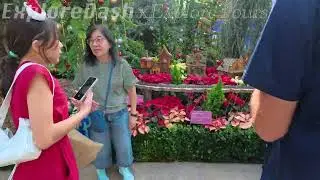 [4K Walking Tour] Gardens by the Bay Christmas Train Show – Evening Walking Tour