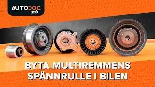 Hur man byter multiremmens spännrulle i bilen [AUTODOC-LEKTION]