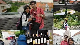 Mikulov whole day wine 🍷🥂 testing experience.... 3.7.2021