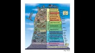 FOSSIL CLOCKS: BIOSTRATIGRAPHY