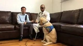 Chú chó 50.000 đô la của Đại uý James Văn Thạch - BBC News Tiếng Việt