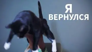 СРОЧНО. Тот самый Мартин вернулся на YouTube