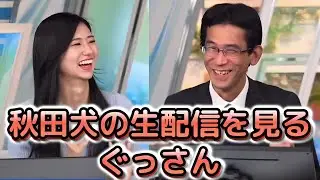 【大島璃音×山口剛央】完全にネコ派と言いながらも、たまにYoutubeで、秋田犬の生配信を見てるという予報士さん【ウェザーニュース切り抜き】