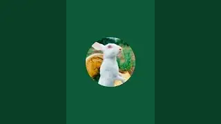 Bunny care is live!