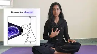 Observe the Observer!