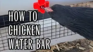 Backyard Chickens? Try this water bar feeder!#howto #chicken #chickenlife #diy #feeder #chickencoop 