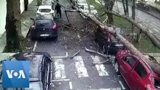 CCTV Footage of Tree Falling on Cars and People in Turkey