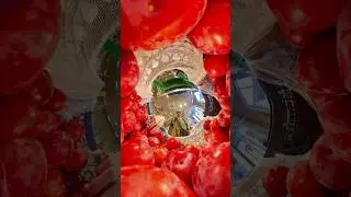 Собираю сливы супермаркете / магазине #слива #сливы #видео360 #360видео #360video #360camera