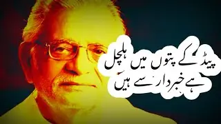 Ped Ke Patton Mein Halchal Hai | Gulzar Best Poetry | By Salman Ali |