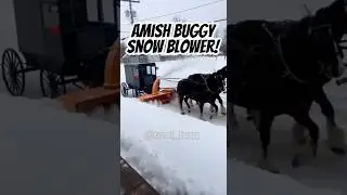 Амишская повозка со снегоуборщиком! #снег #амиши #круто