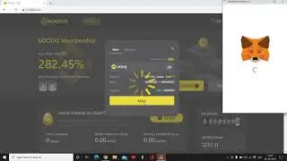 bDODO Tutorial 3 - How to mint in bDODO