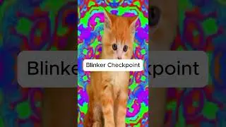 Blinker checkpoint #consciousness #spirituality #journal