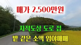 [1556][임야매매] 전기, 차량진입이 가능한 임야 매매, 손절하고 팝니다