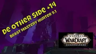 Beast Mastery Hunter guide 9.1 De Other Side +14
