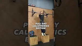 🚨Pull day with CALISTHENICS #calisthenics #pullups #bodyweight #workout #fitness #routines